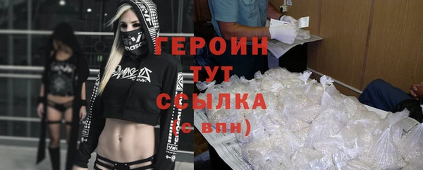 индика Беломорск