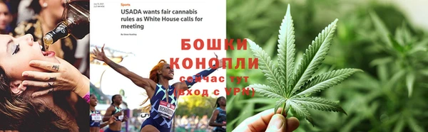 шишки Белокуриха