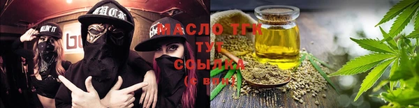 индика Беломорск