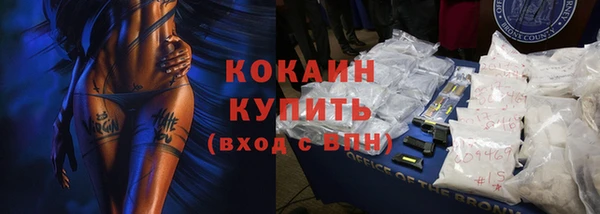 индика Беломорск