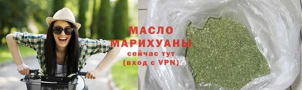 индика Беломорск