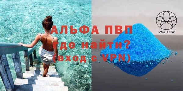шишки Белокуриха