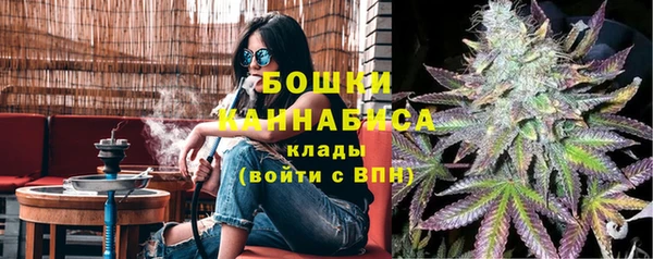 шишки Белокуриха