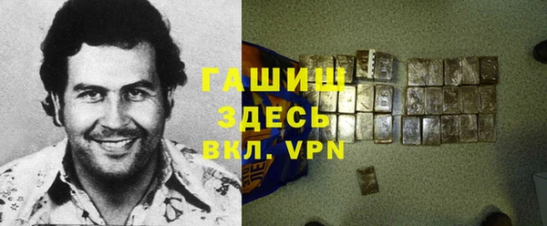 индика Беломорск