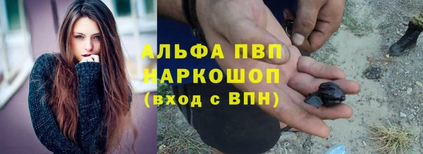 индика Беломорск