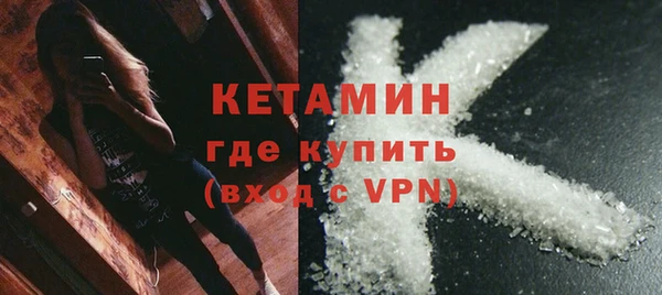 шишки Белокуриха
