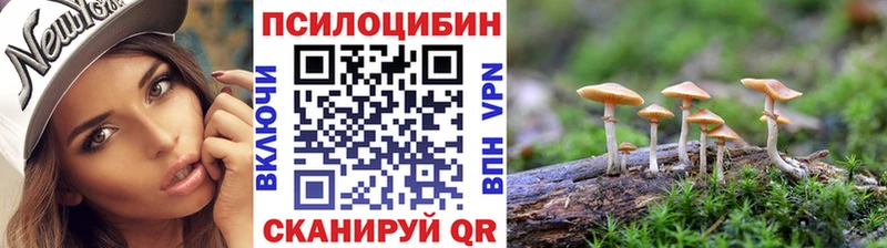 площадка официальный сайт  Кстово  Галлюциногенные грибы Cubensis  где можно купить  